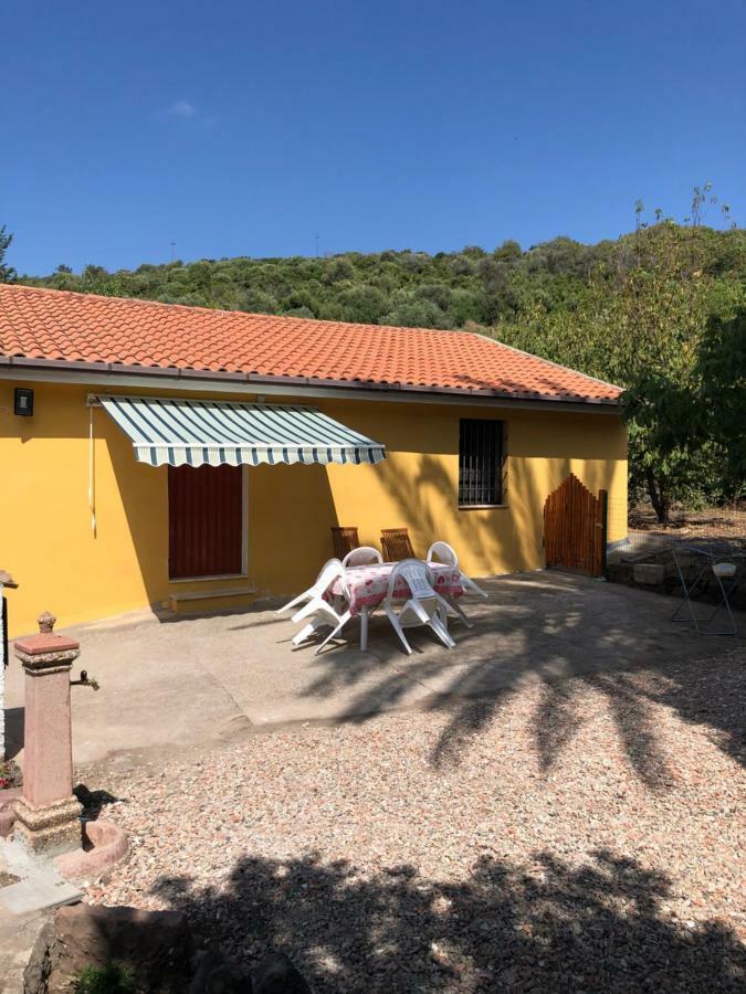 Il Ruscello Holiday home